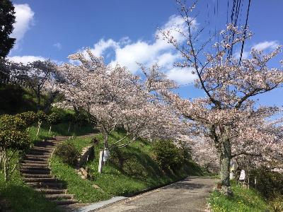 高野口公園