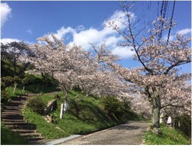高野口公園