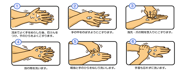 正しい手の洗い方