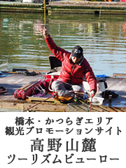 橋本・かつらぎエリア観光プロモーションサイト高野山麓ツーリズムビューローへのサイトリンク画像