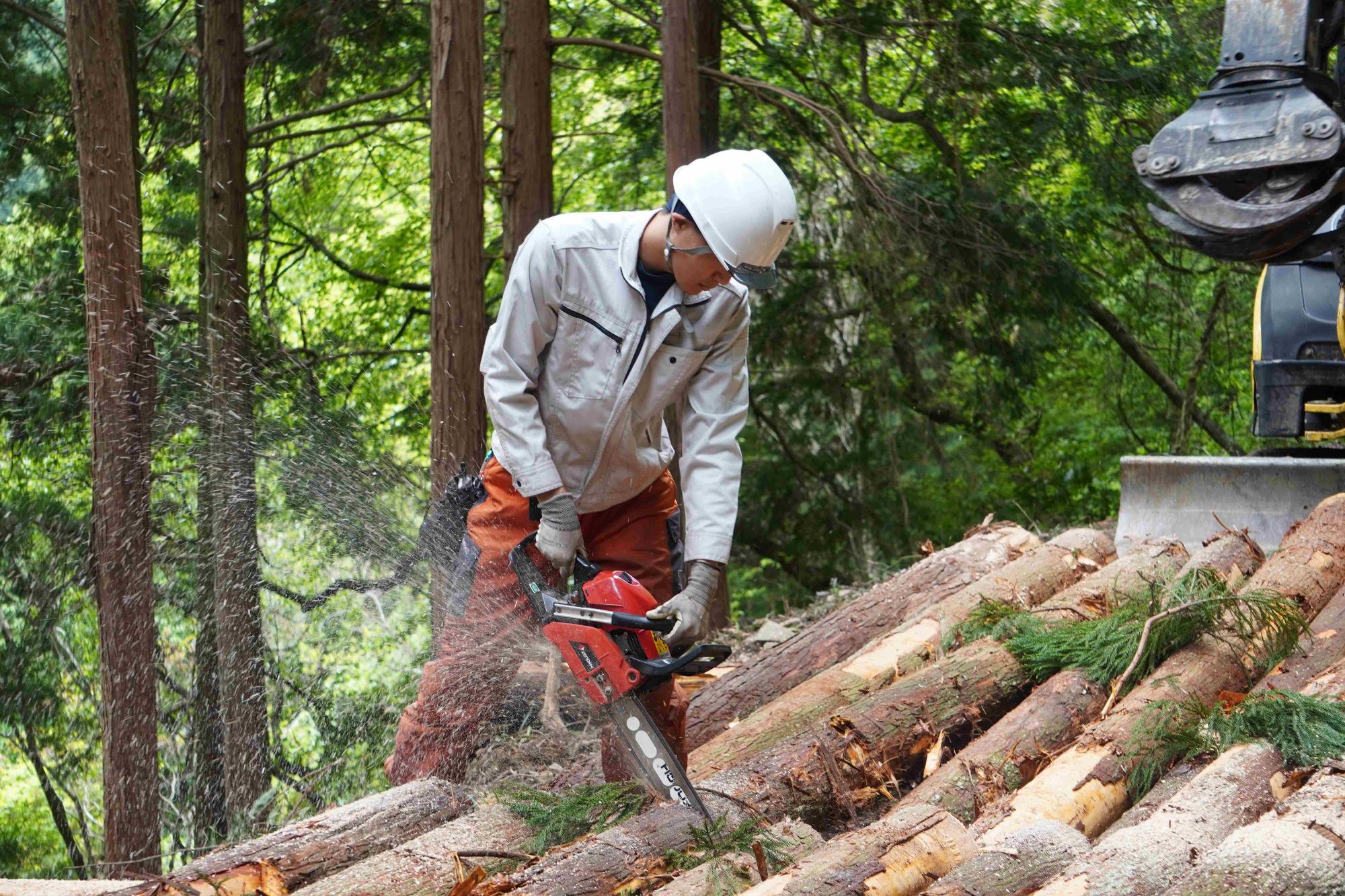 先輩移住者　武田さん