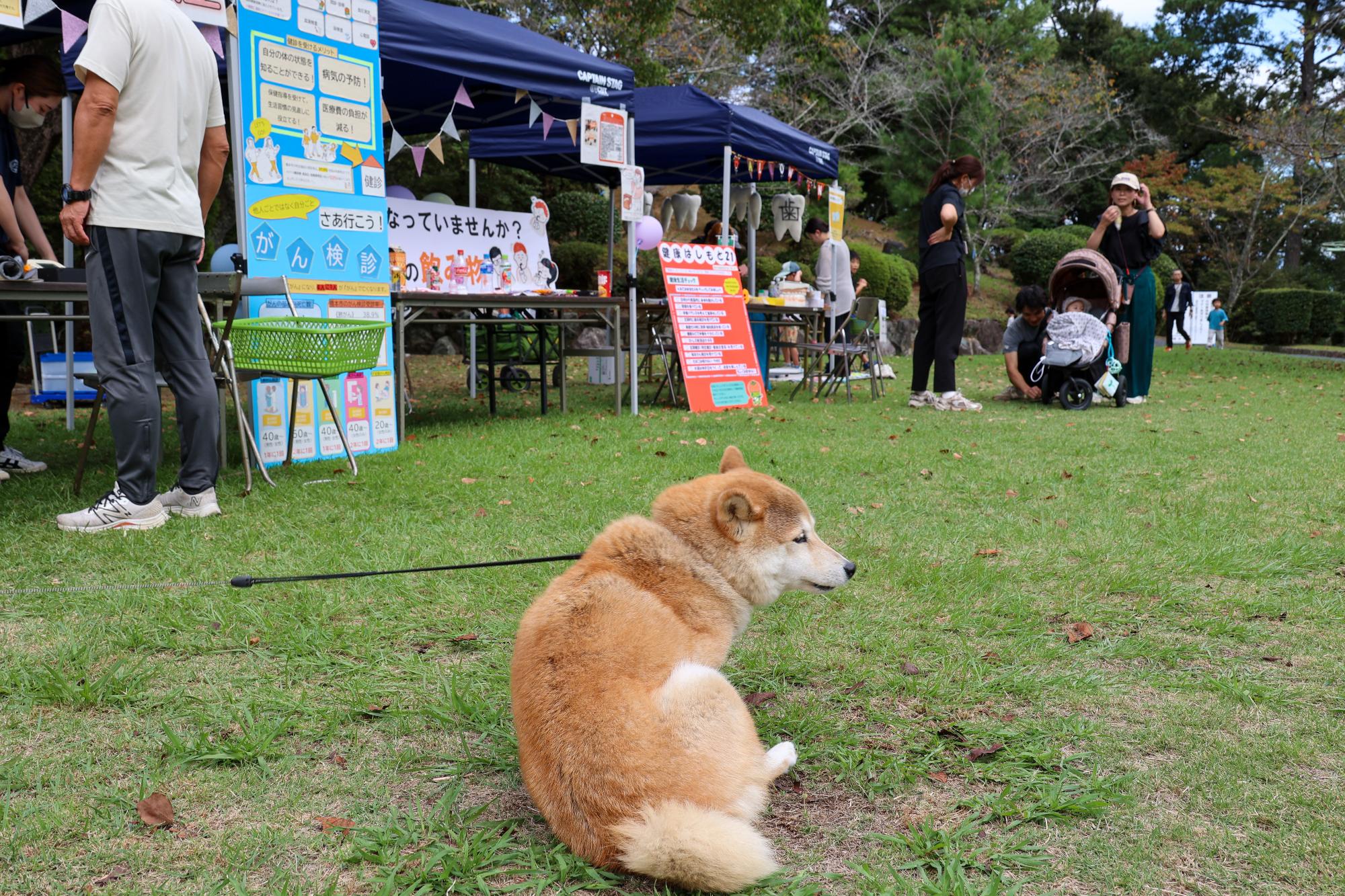 Re:Body万博 in HASHIMOTO