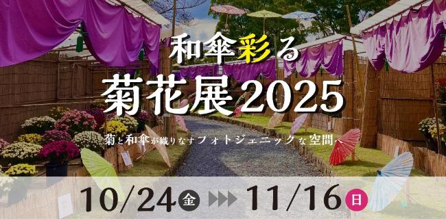 菊花展2025