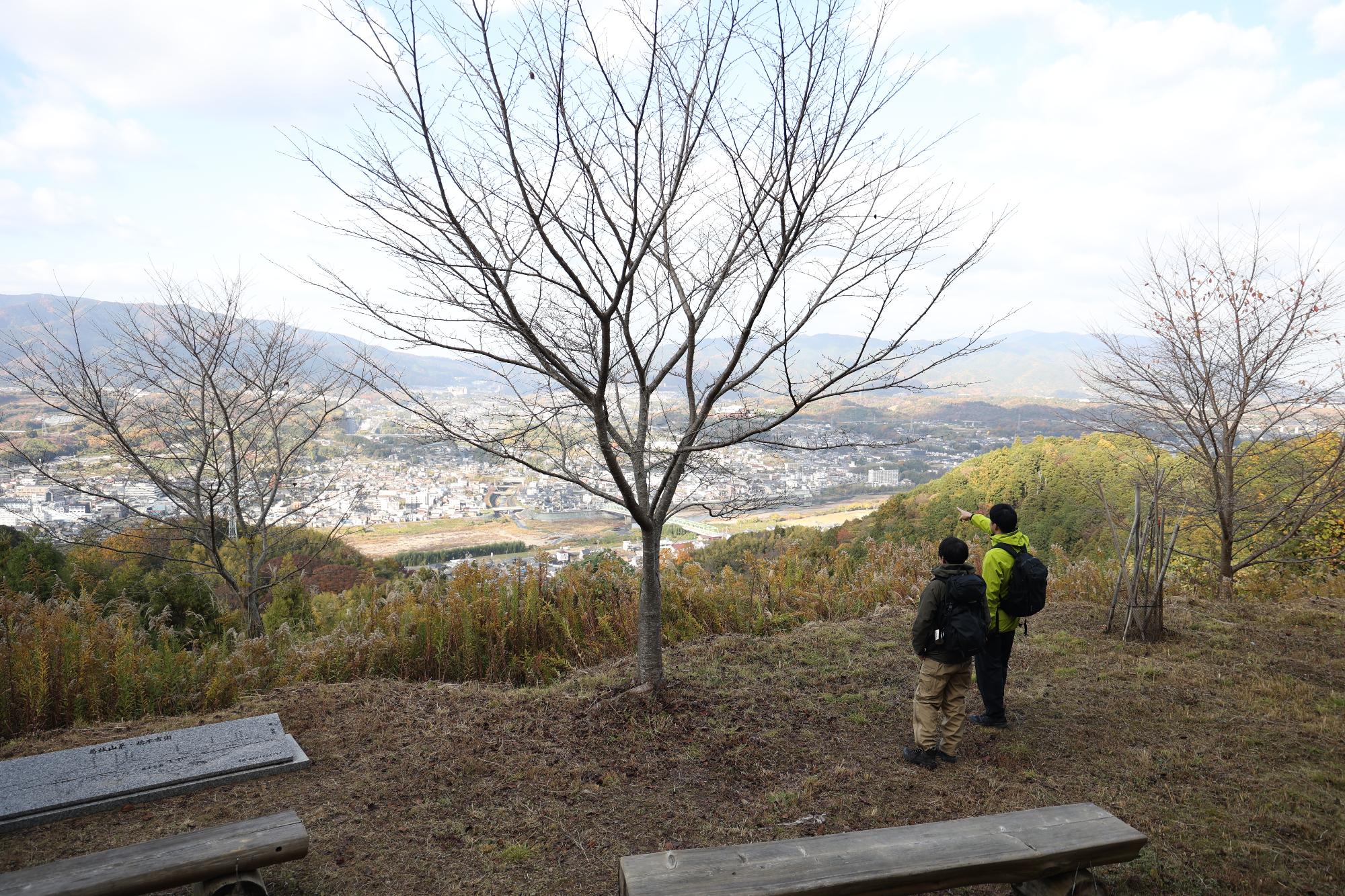 五軒畑岩掛観音展望所からの景色