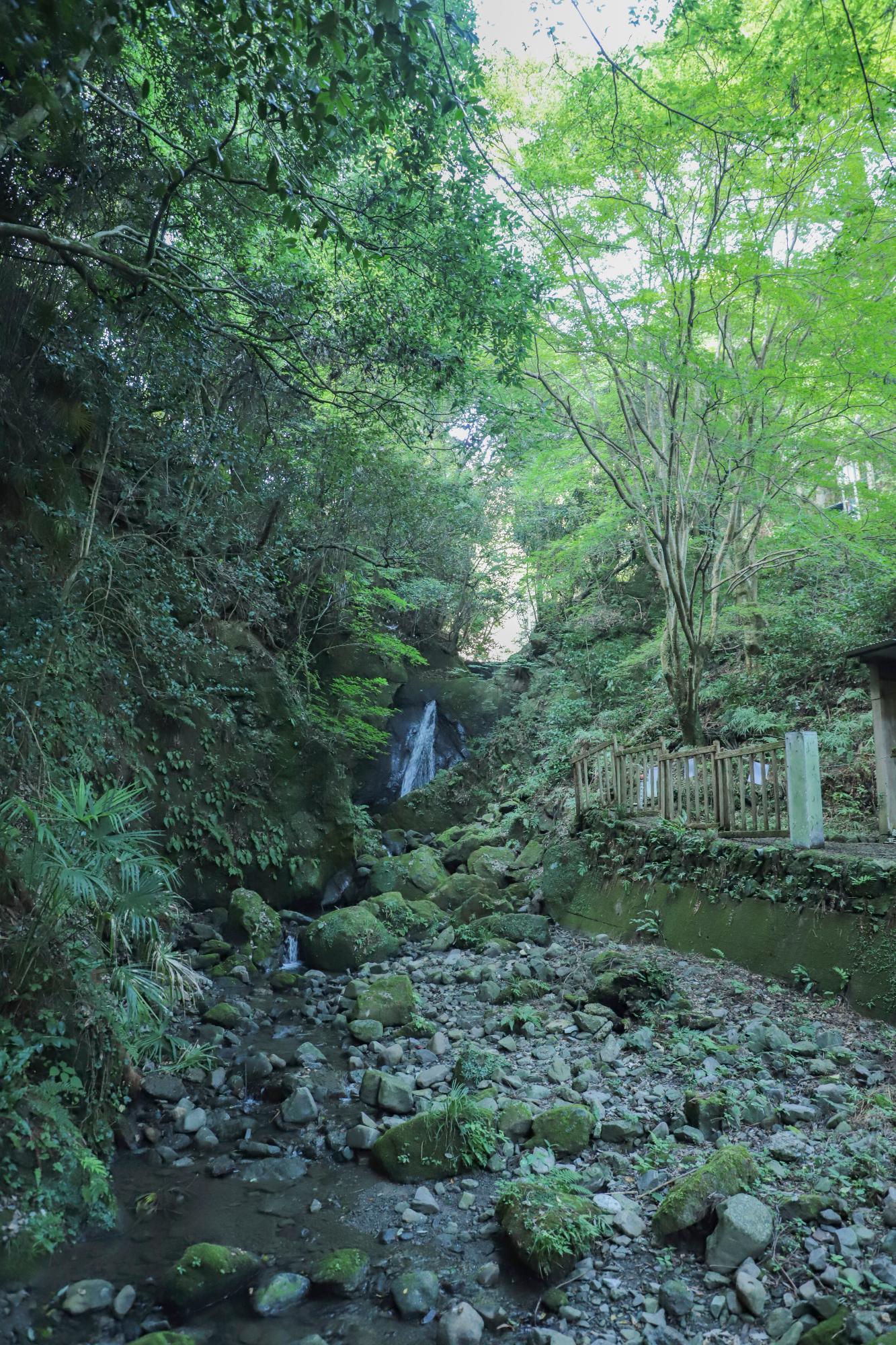 嵯峨の滝