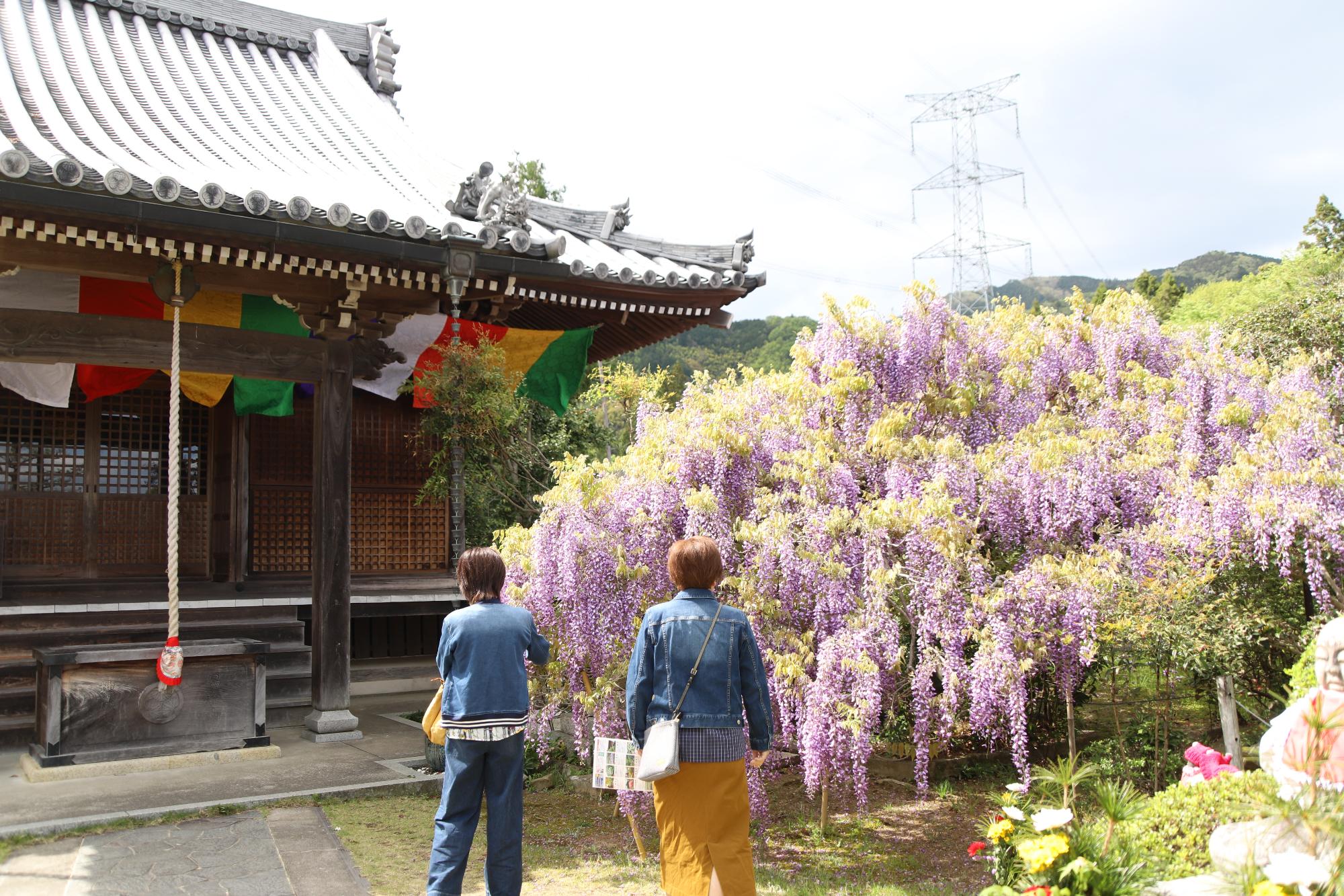 子安地蔵寺01