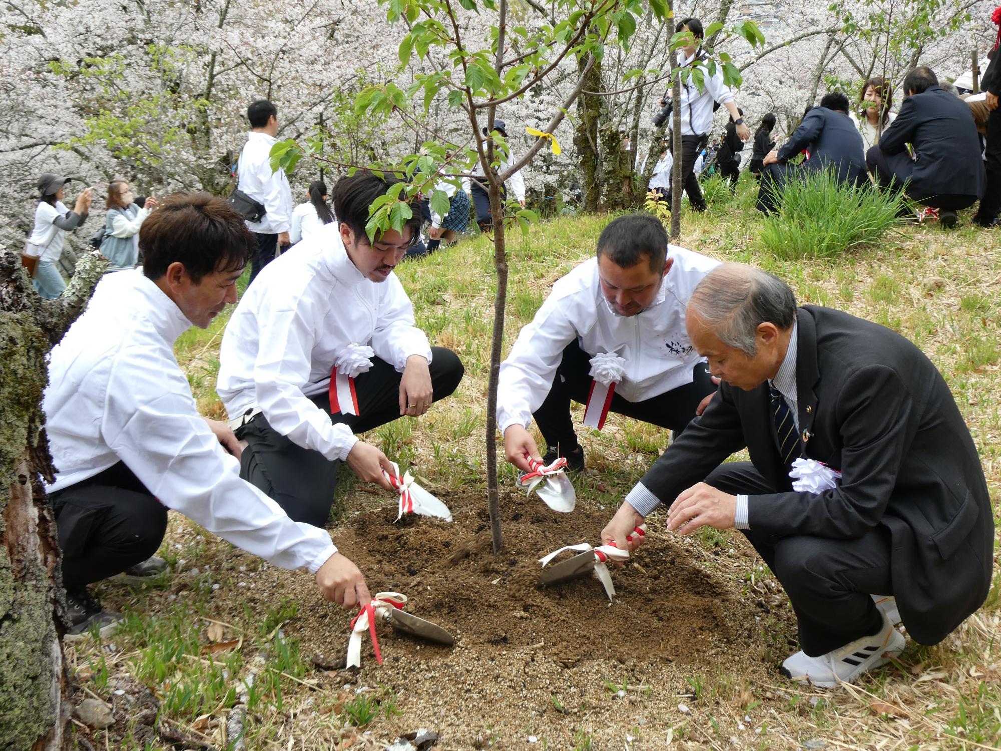 高野口公園桜まつり植樹