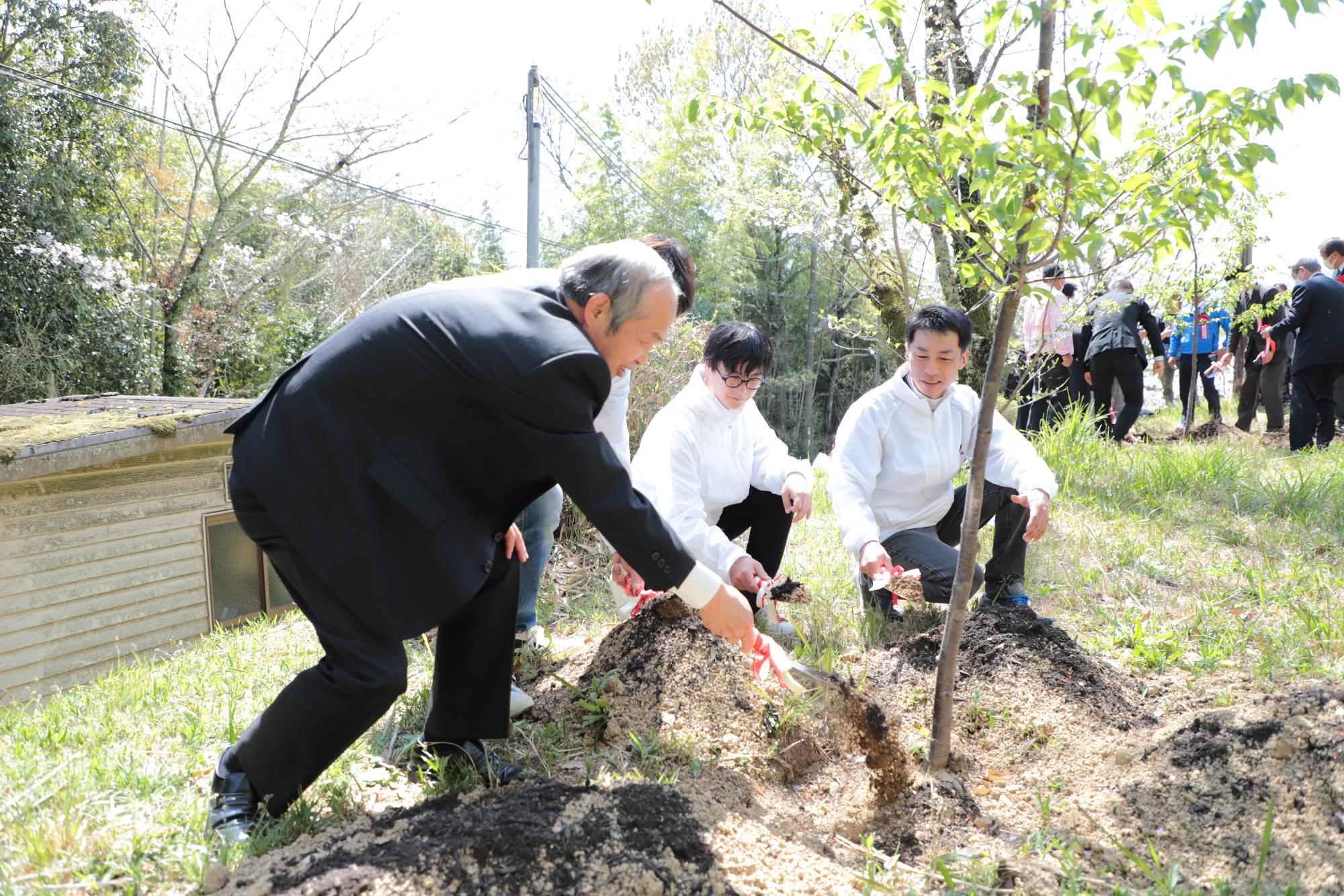 高野口公園桜まつり植樹