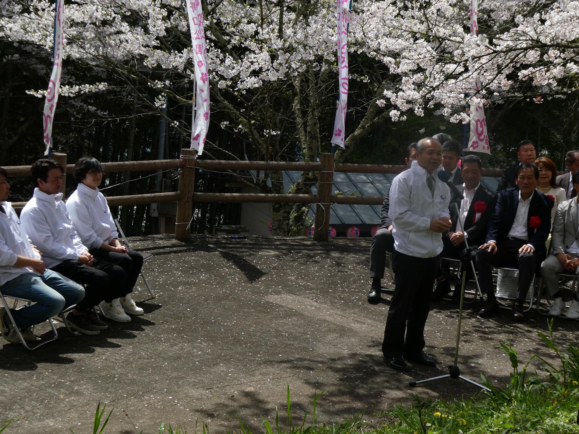 橋本市高野口公園桜まつり