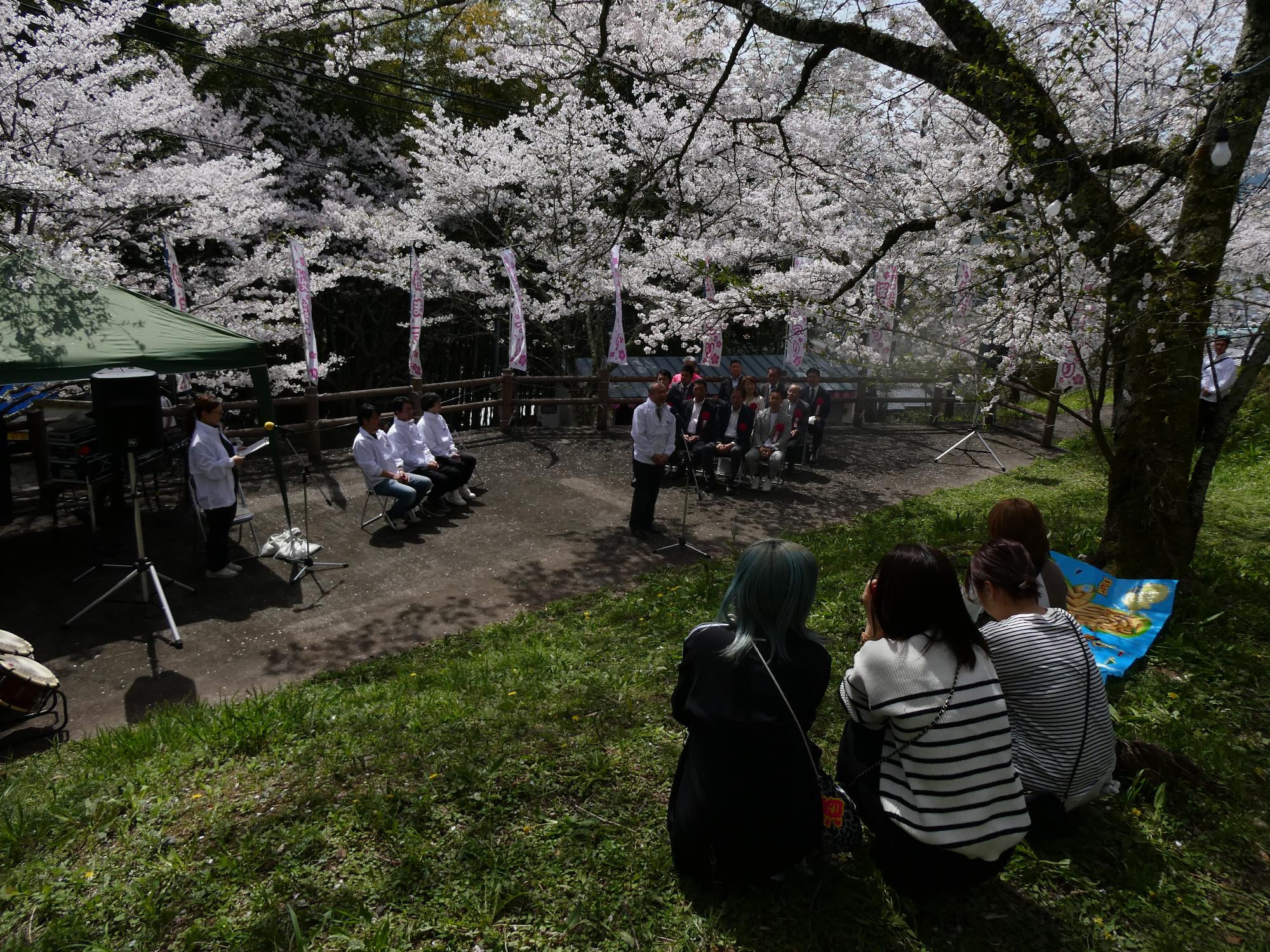 橋本市高野口公園桜まつり