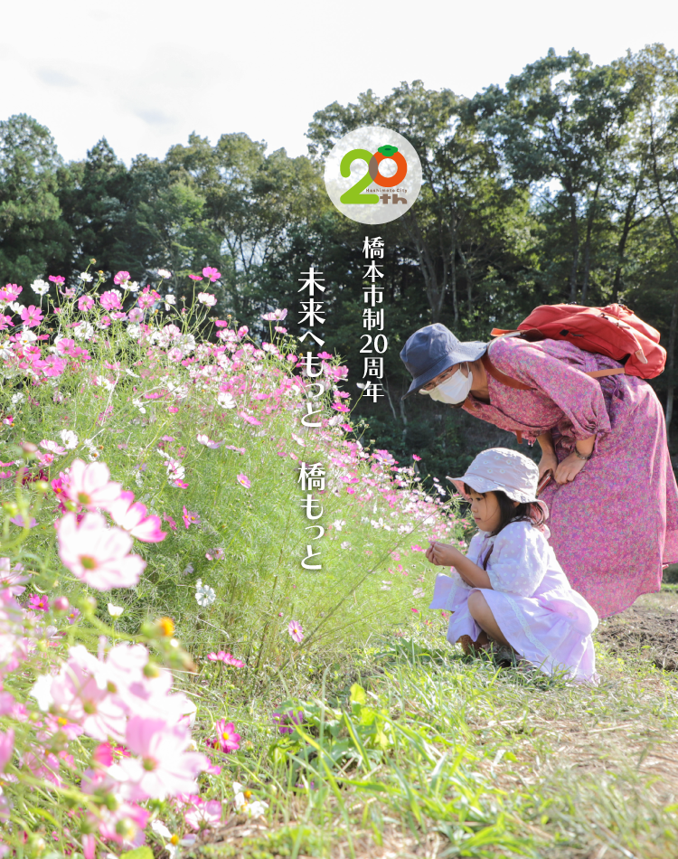 真土のコスモス