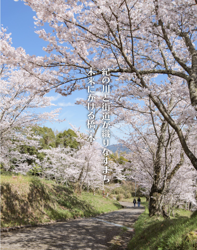 高野口公園の桜