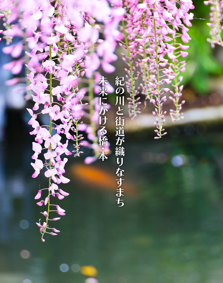 子安地蔵寺の藤の花