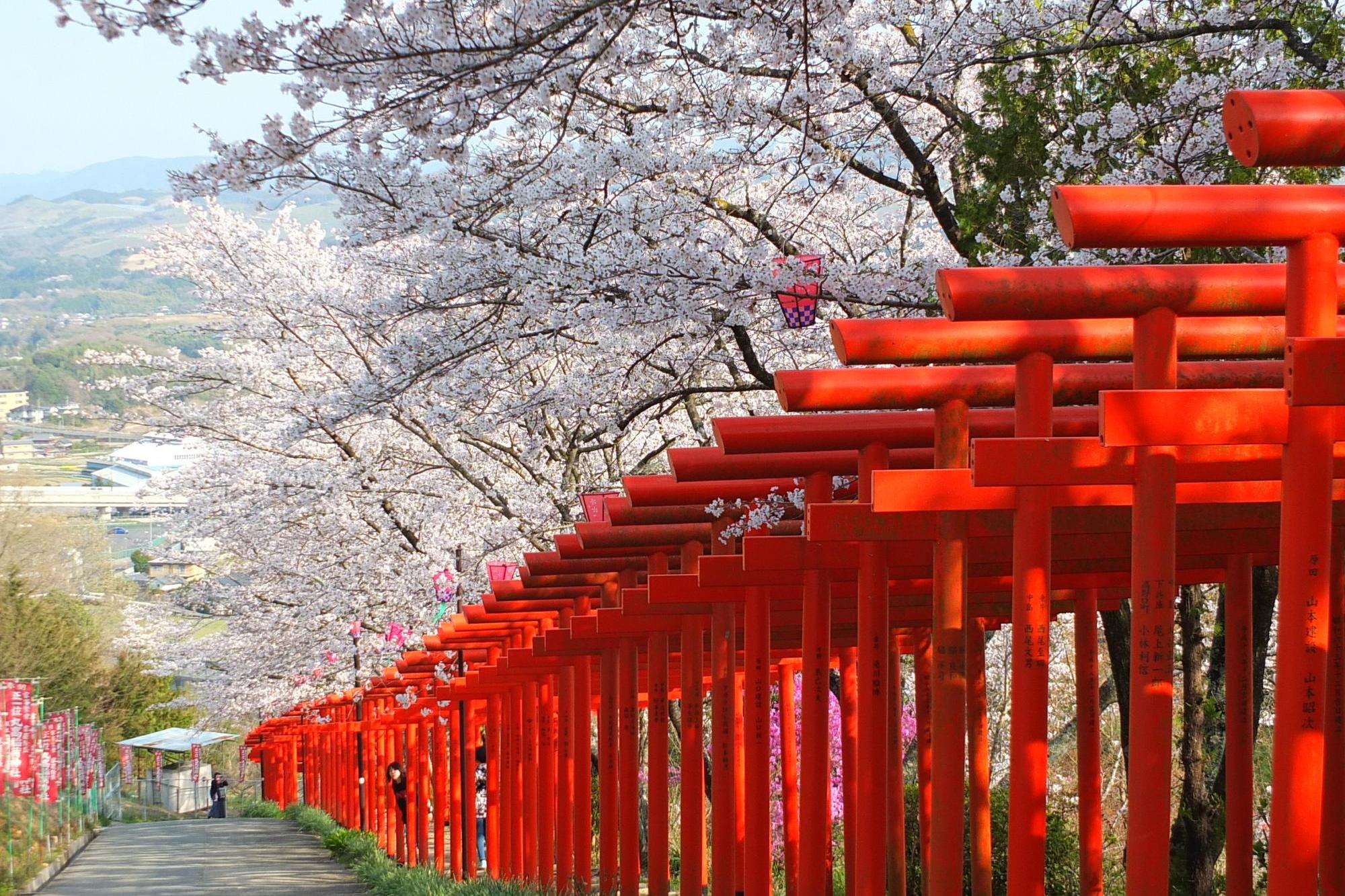 丸高稲荷神社