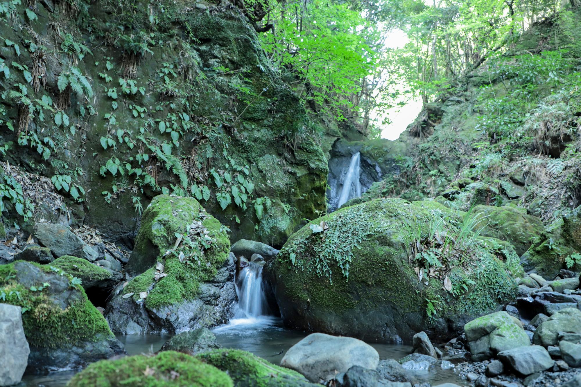 嵯峨の滝