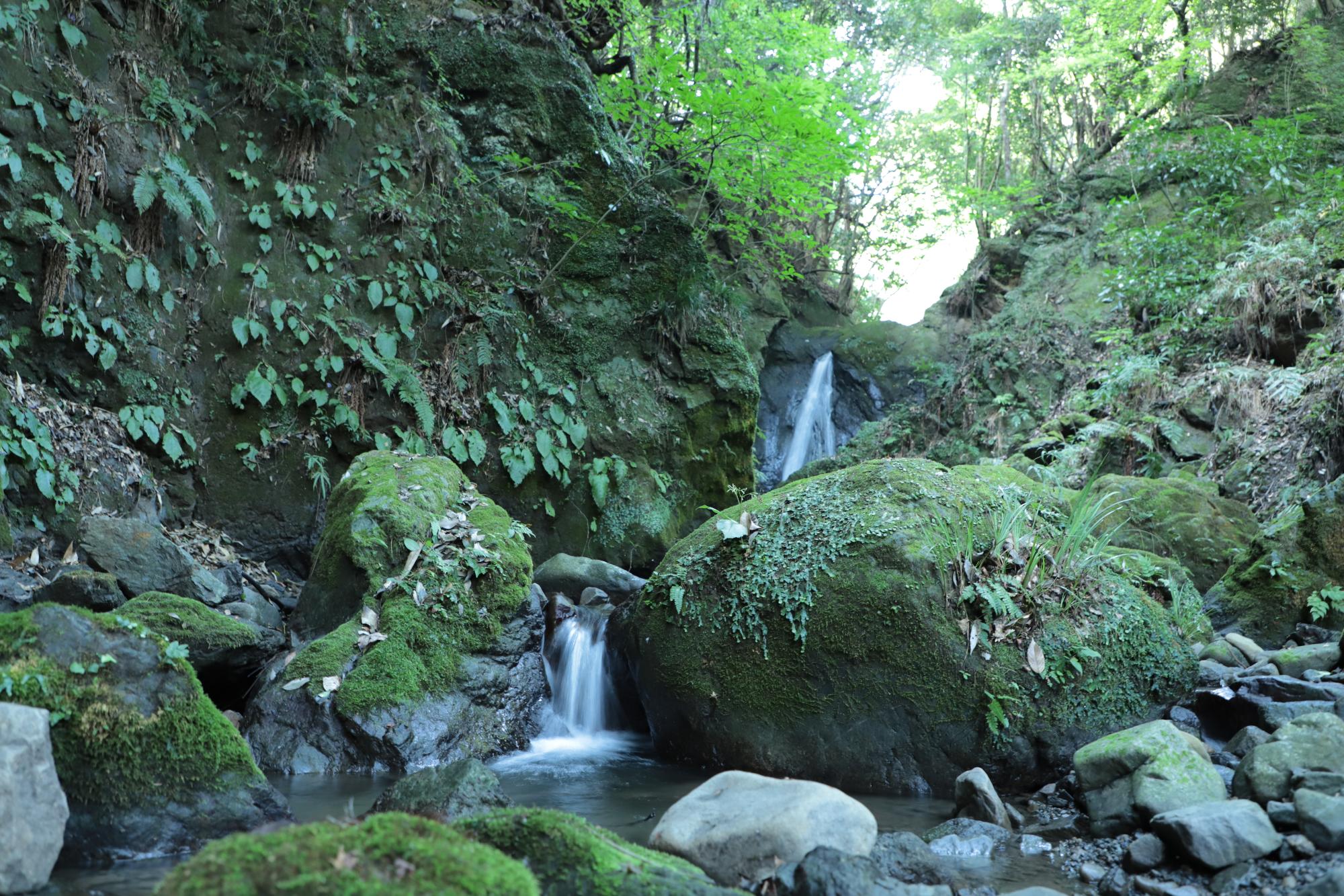 嵯峨の滝