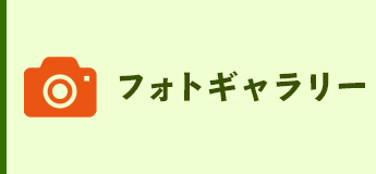 フォトギャラリー