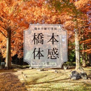 橋本市観光情報について