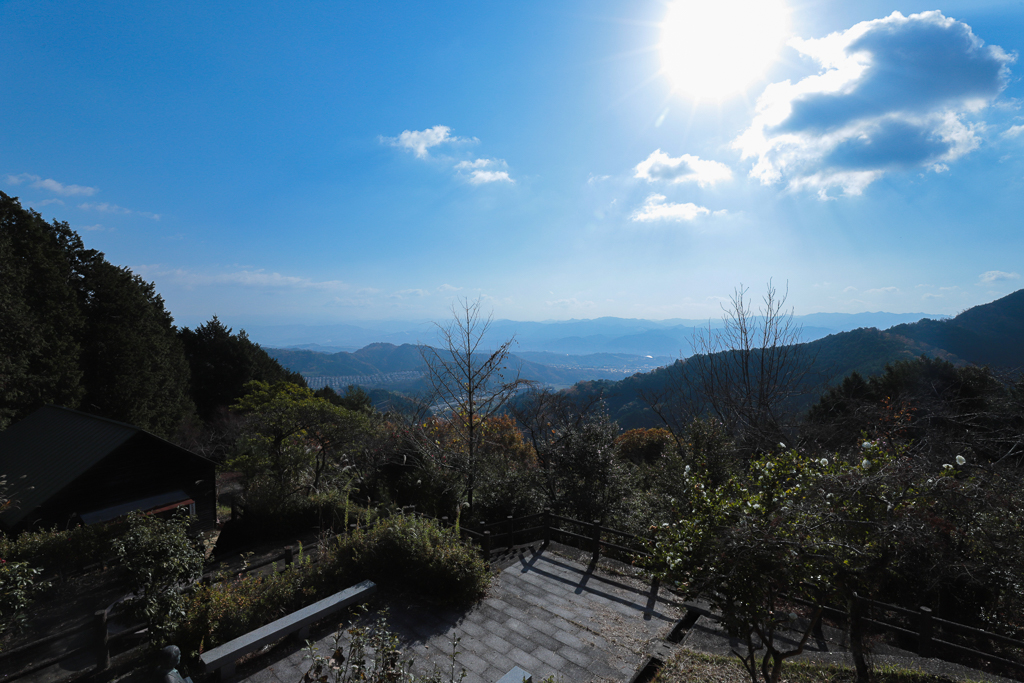 高山森林公園