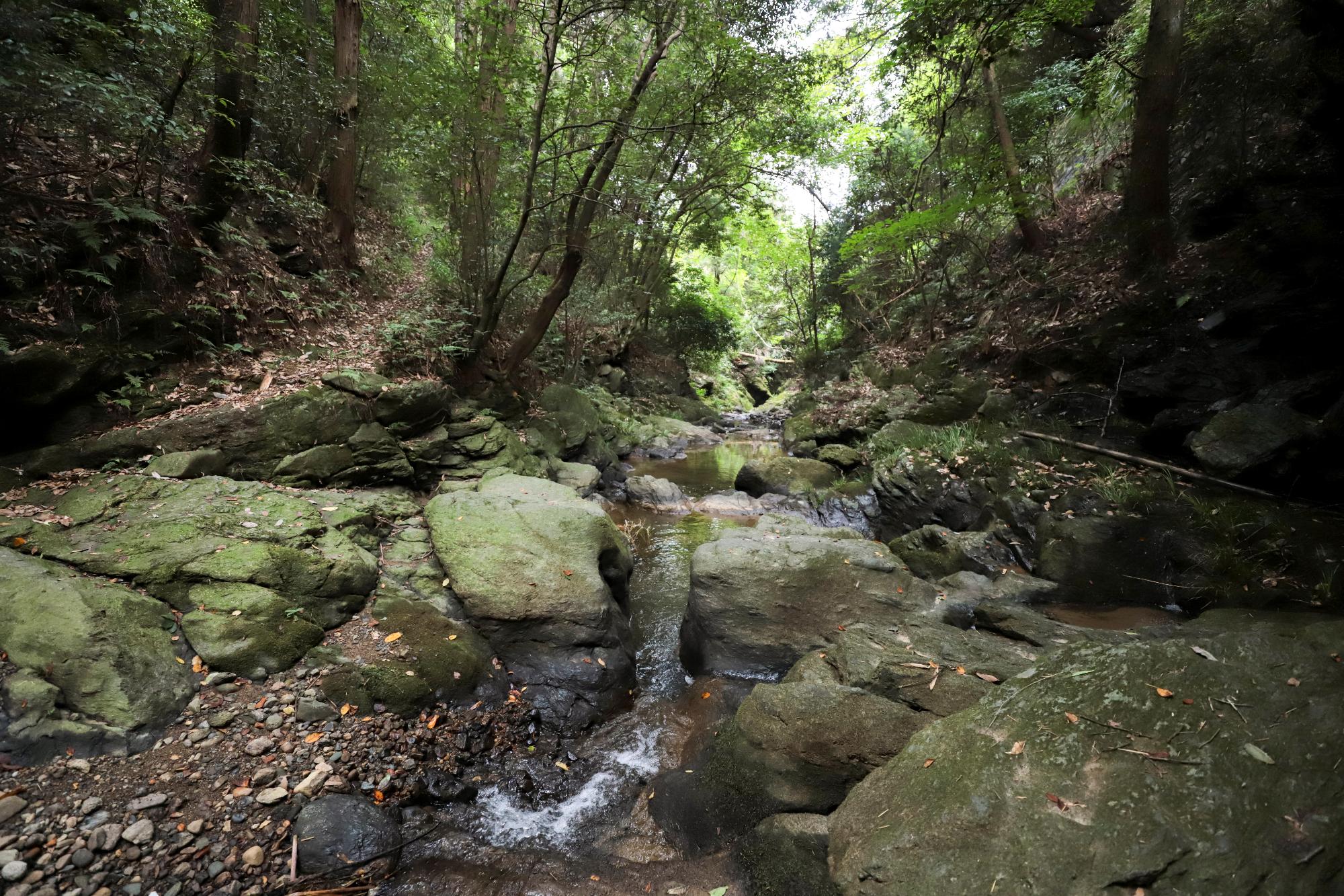 飛び越え石