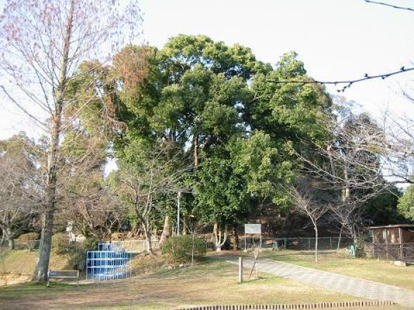 陵山古墳（みささぎやまこふん）