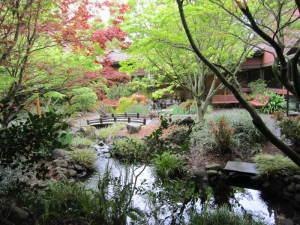 日本から寄贈した植樹のある日本庭園