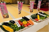 高野山麓精進野菜