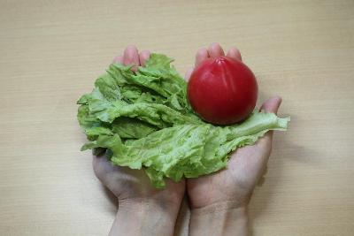 朝野菜