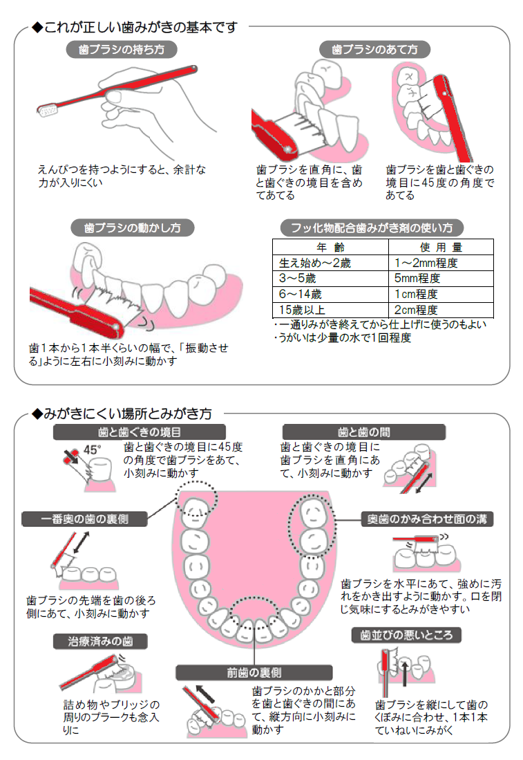 効果的な歯みがき法