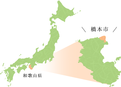 和歌山県の北東端に位置している橋本市の場所を示す地図の画像
